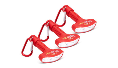 TL050 SET OF 3 Individuals